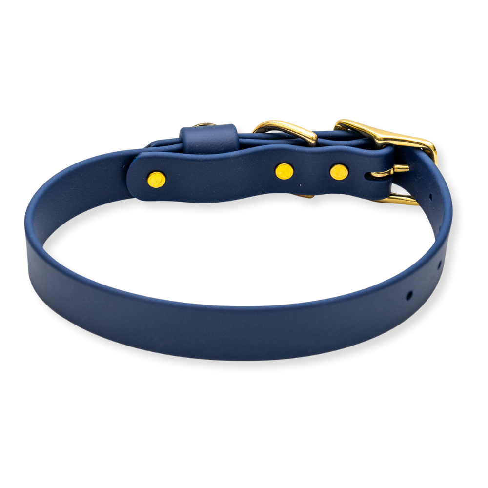 Water Dog Collar Admiral Navy