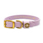 Water Dog Collar Lavender