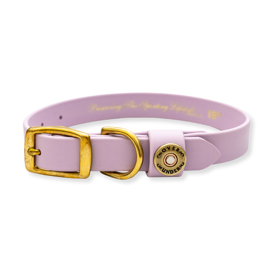 Water Dog Collar Lavender