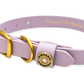 Water Dog Collar Lavender