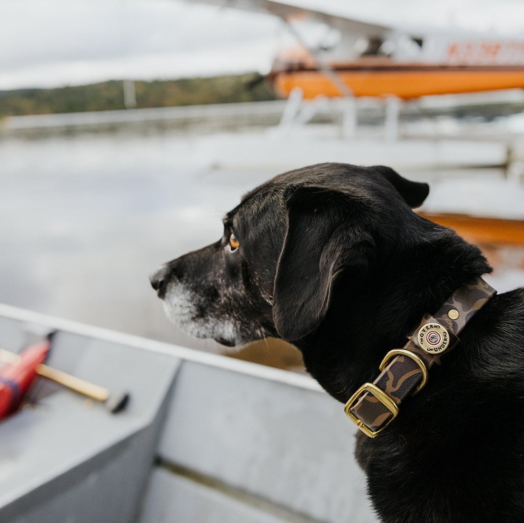 Water Dog Collar Duck Camo Over Under Clothing